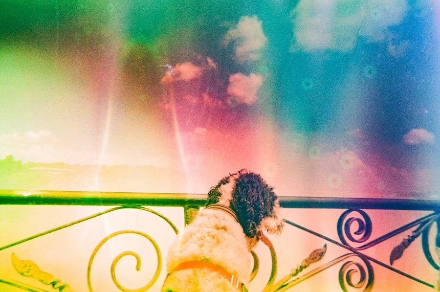 August 26 2025 CAN-18 copy.jpeg