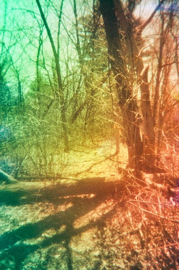 August 26 2025 June 24-215 copy.jpeg