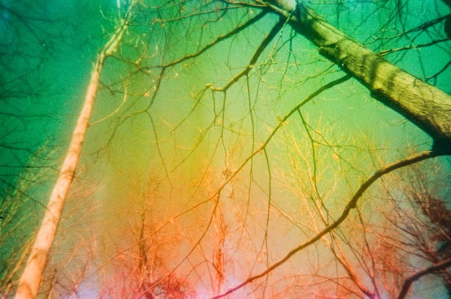 August 26 2025 June 24-222 copy.jpeg