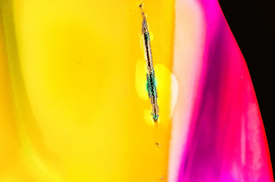 August 26 2025 June 24-240 copy.jpeg