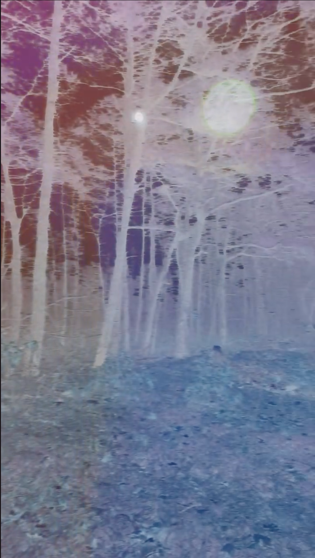 Screenshot 2026-04-02 at 1.55.52 AM.png