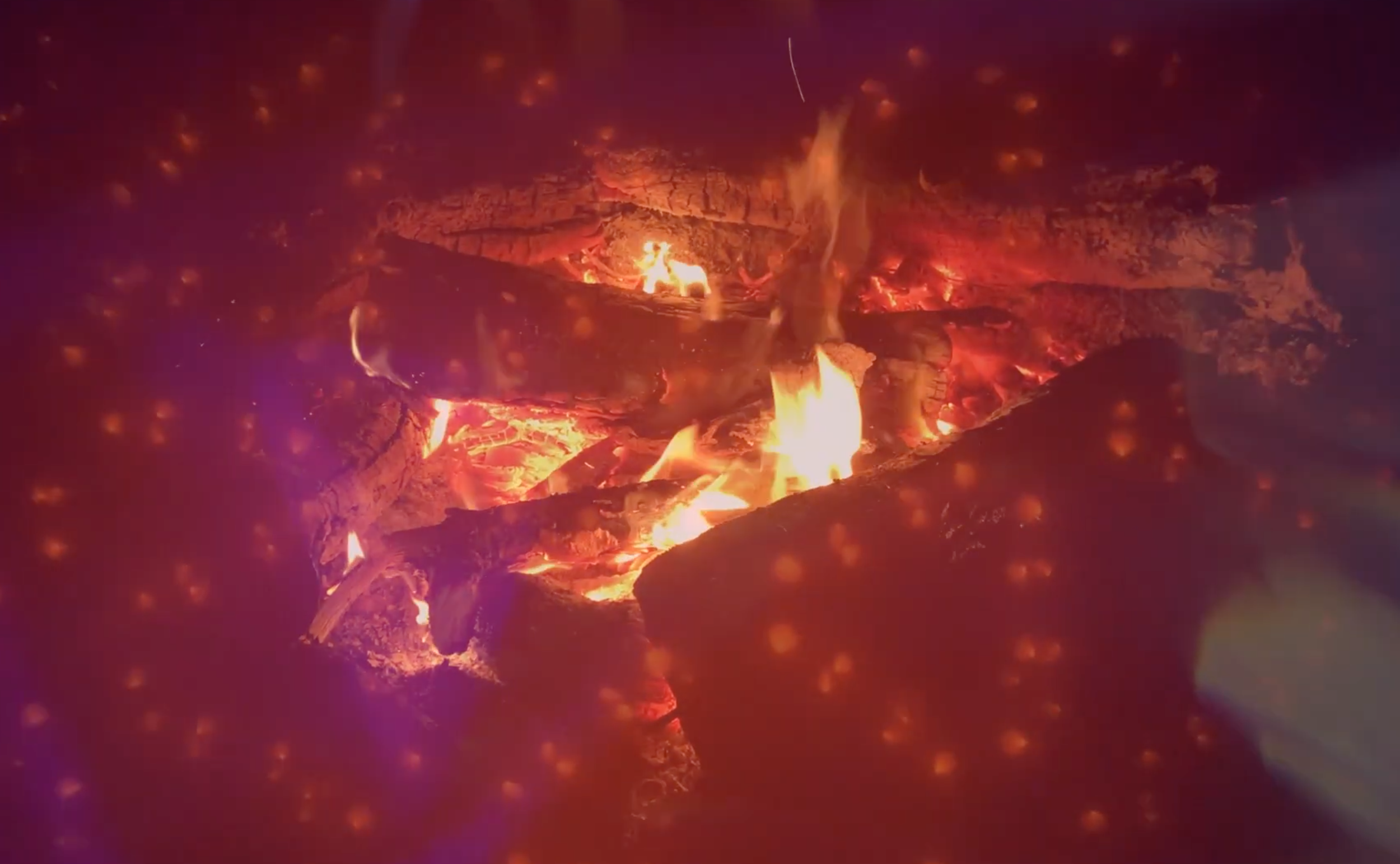 Screenshot 2026-03-23 at 8.19.17 PM.png