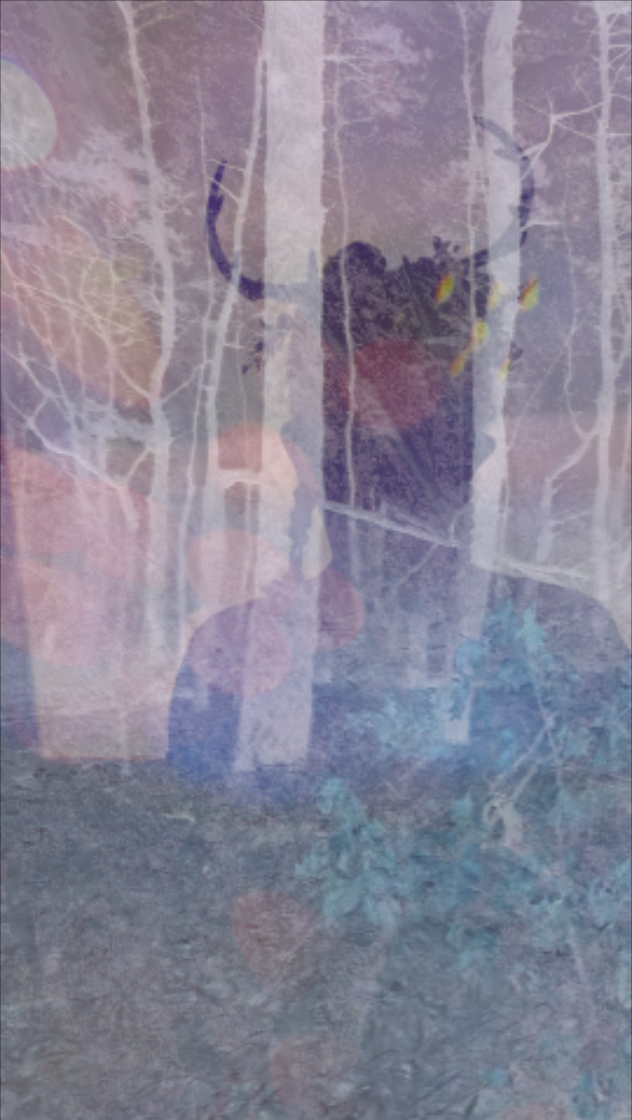 Screenshot 2026-02-25 at 4.07.27 PM.png