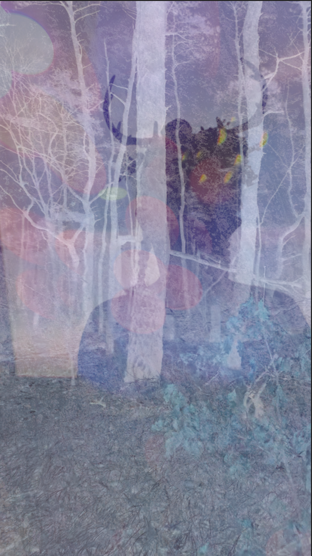 Screenshot 2026-02-25 at 4.07.20 PM.png