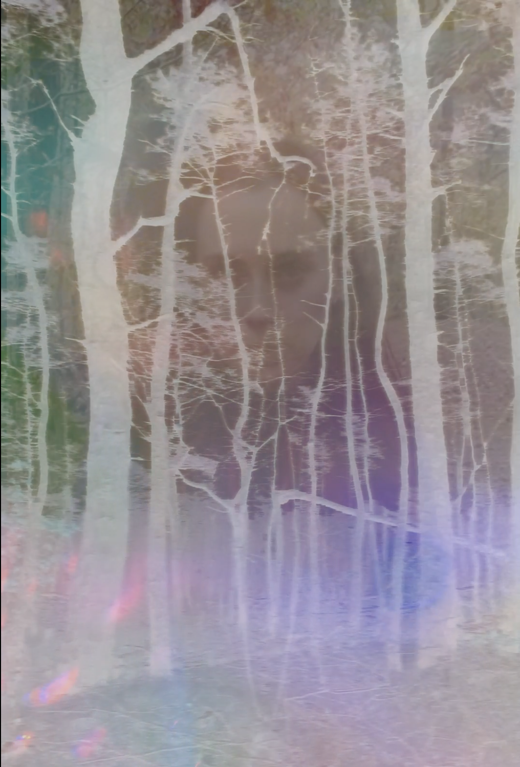 Screenshot 2026-03-01 at 5.25.29 PM.png