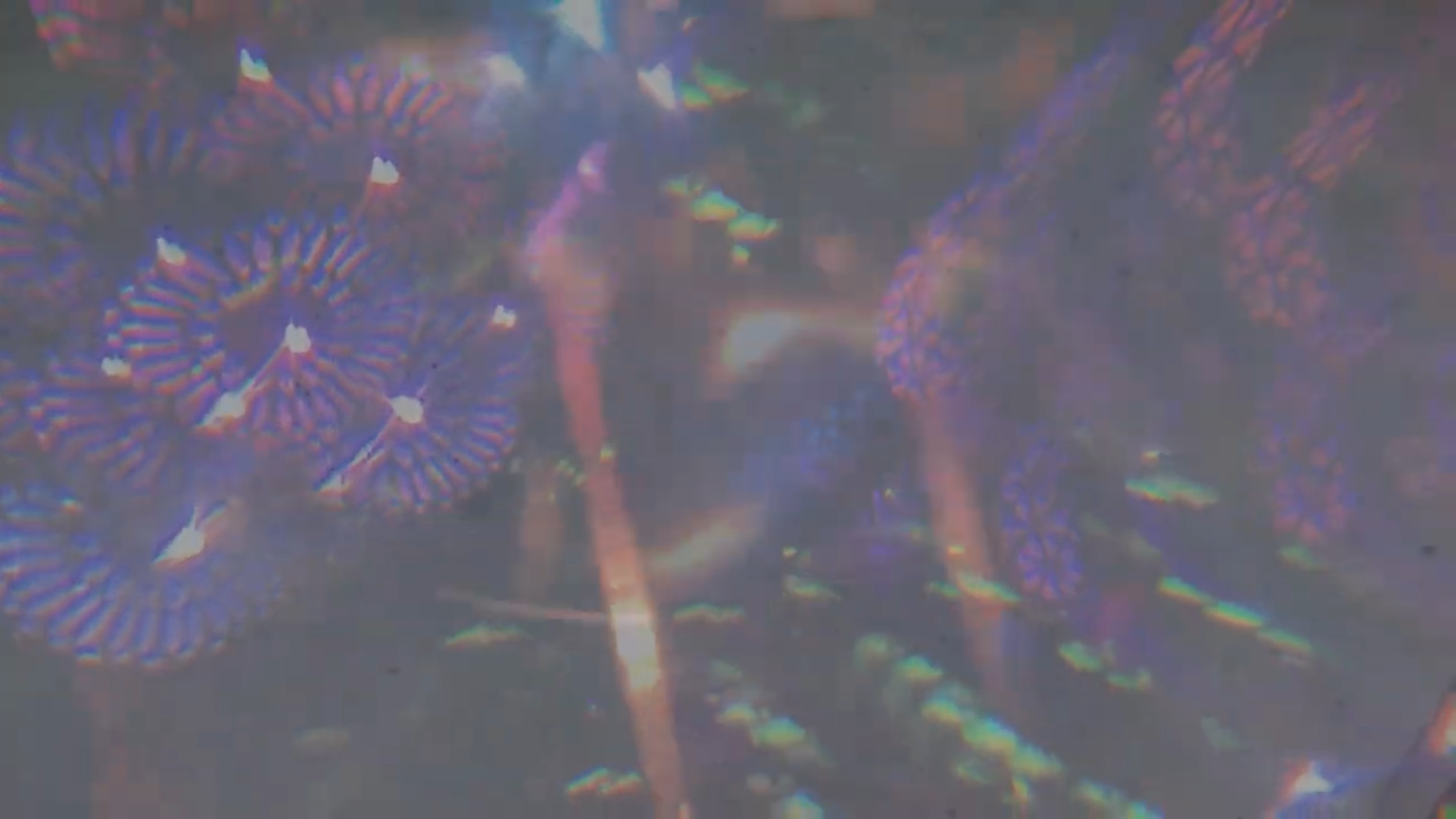 Screenshot 2026-04-04 at 6.46.05 PM.png