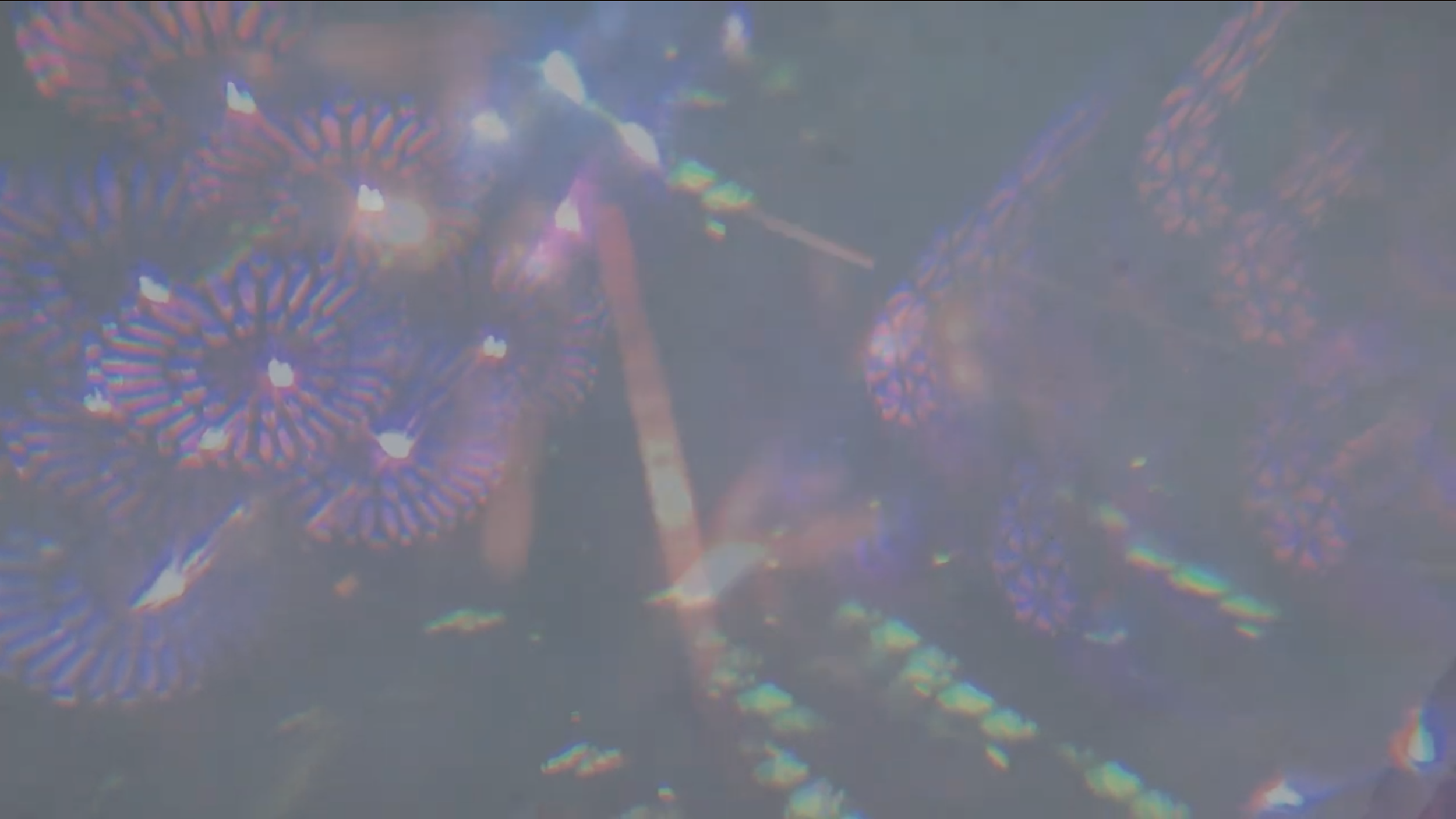 Screenshot 2026-04-04 at 6.46.15 PM.png