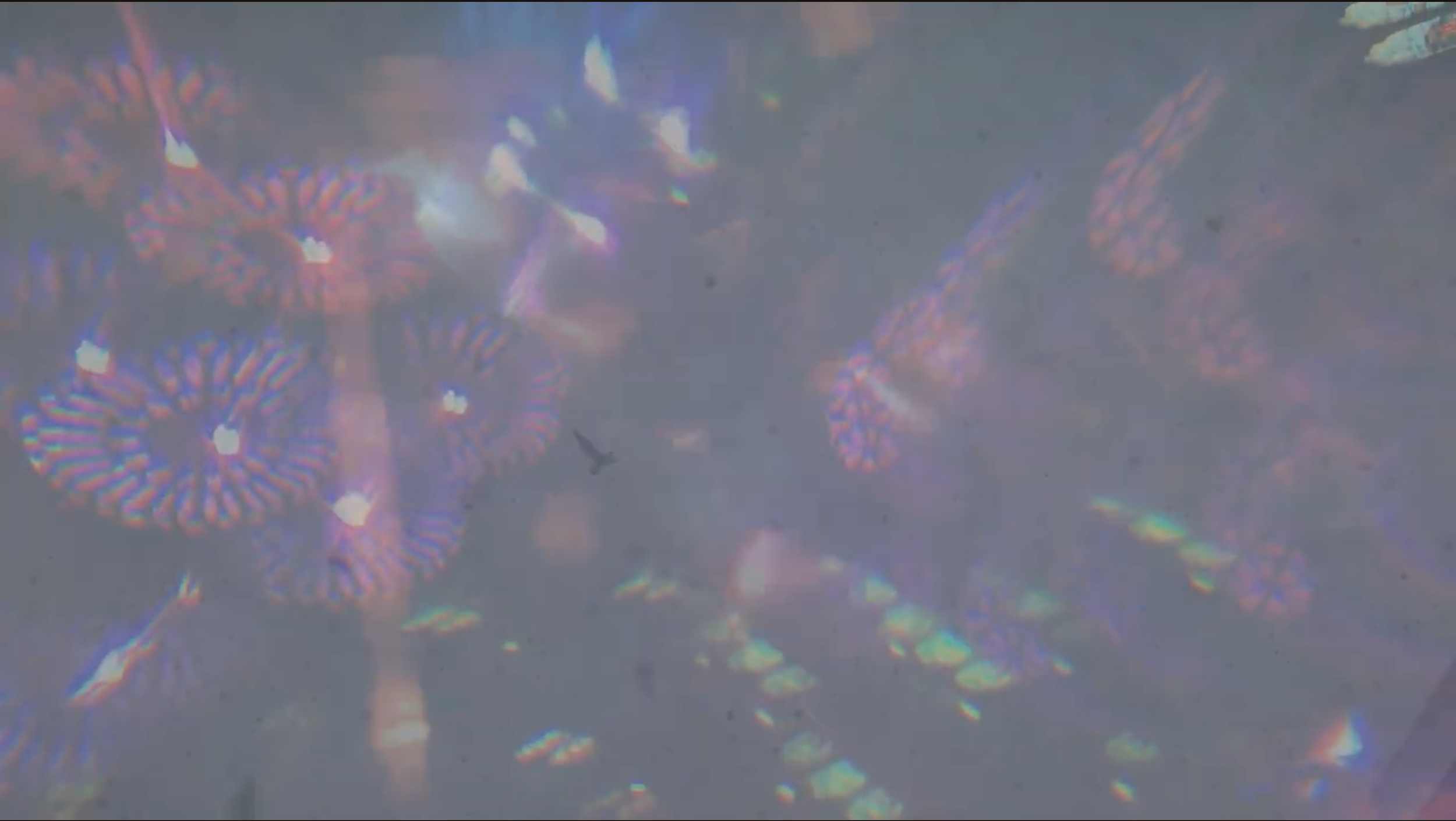 Screenshot 2026-04-04 at 6.46.25 PM.png