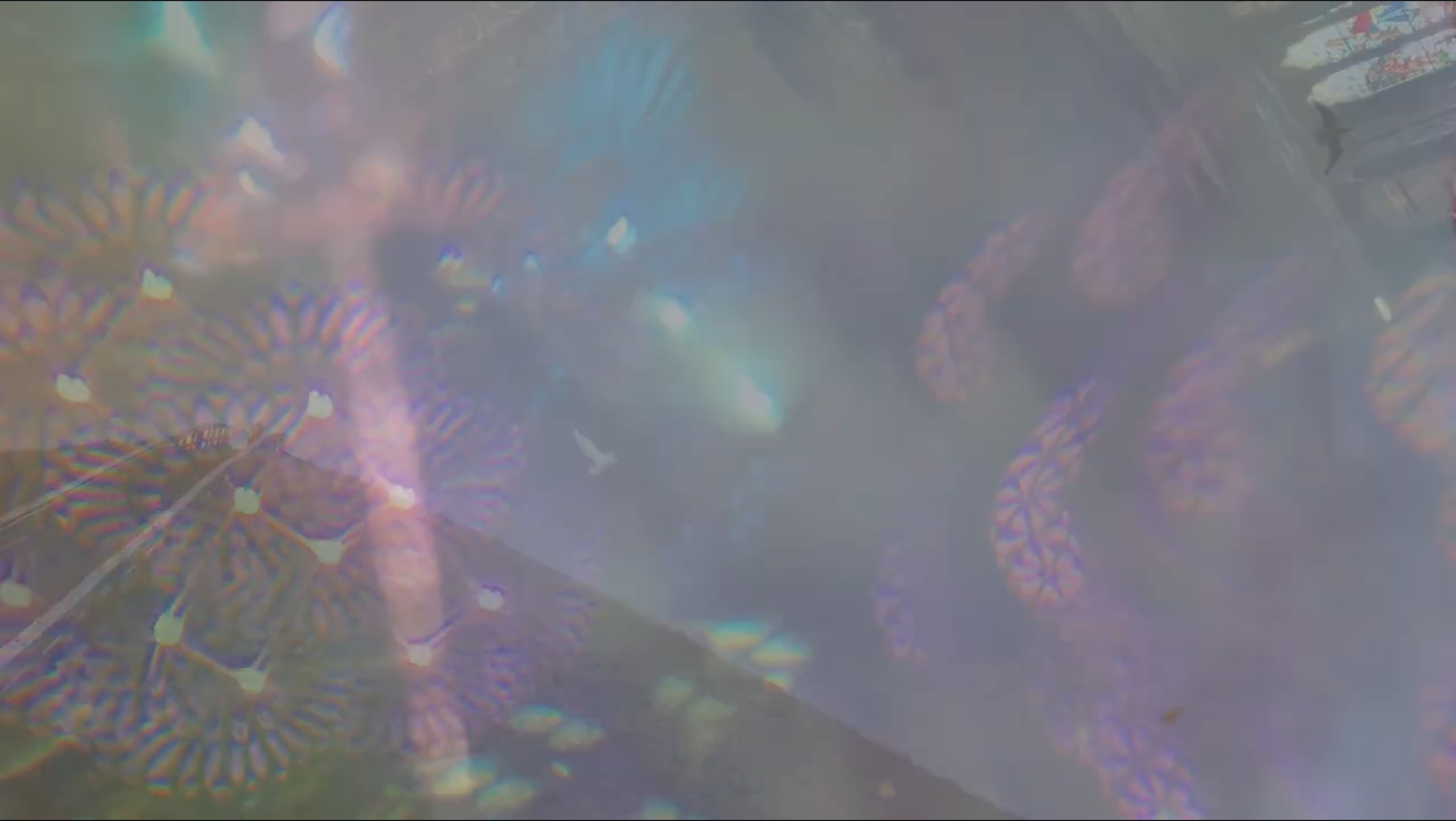 Screenshot 2026-04-04 at 6.46.38 PM.png