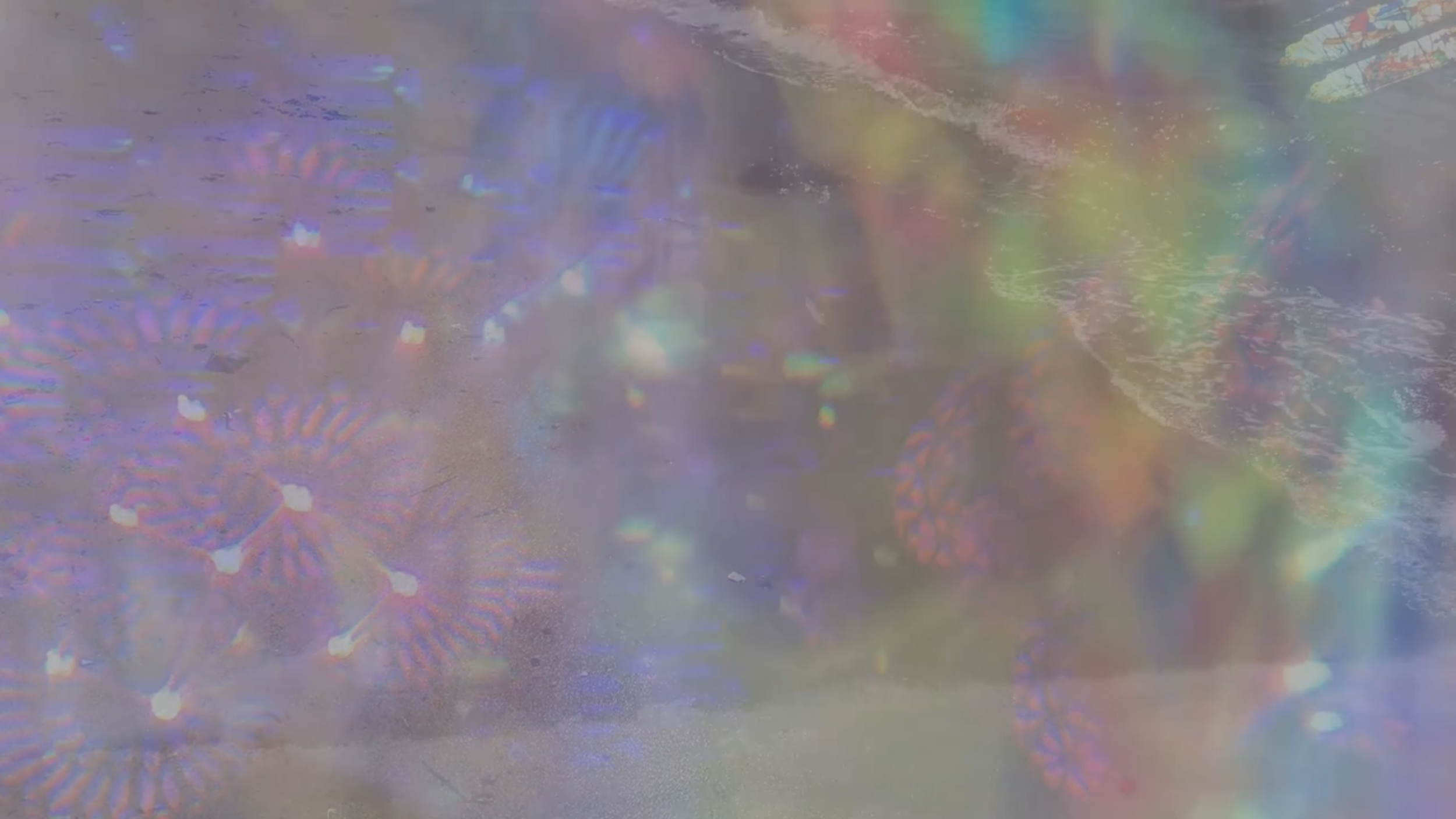 Screenshot 2026-04-04 at 6.47.20 PM.png