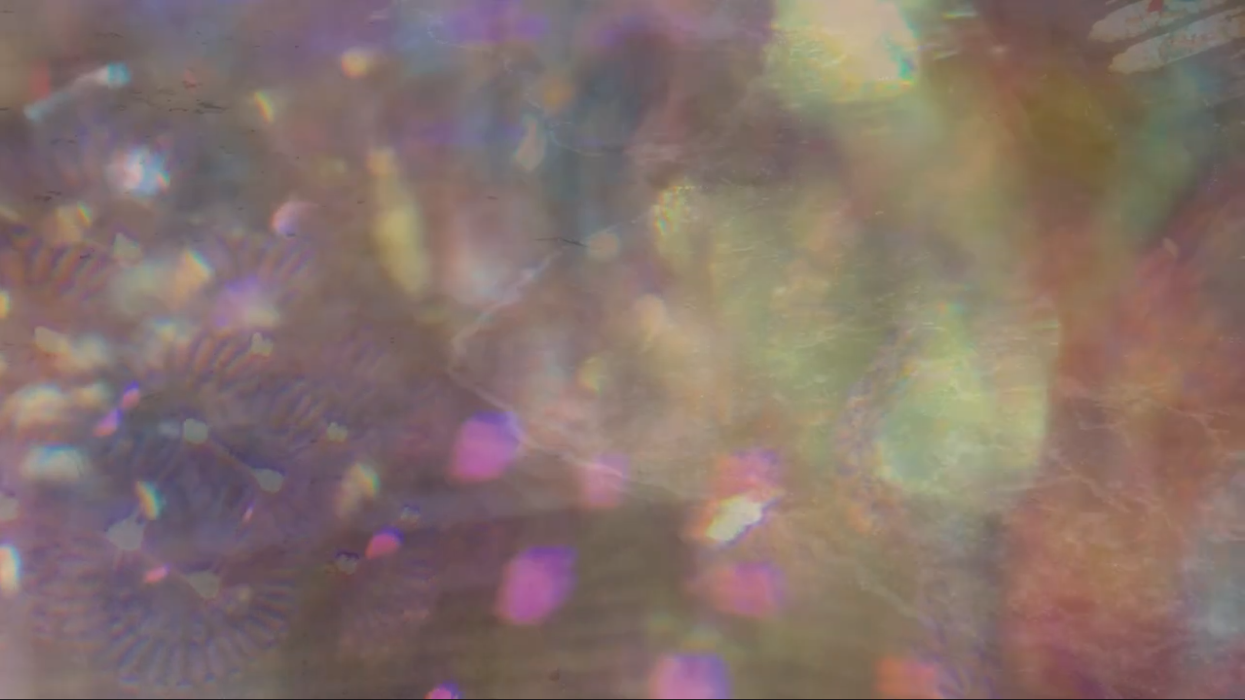 Screenshot 2026-04-04 at 6.47.36 PM.png