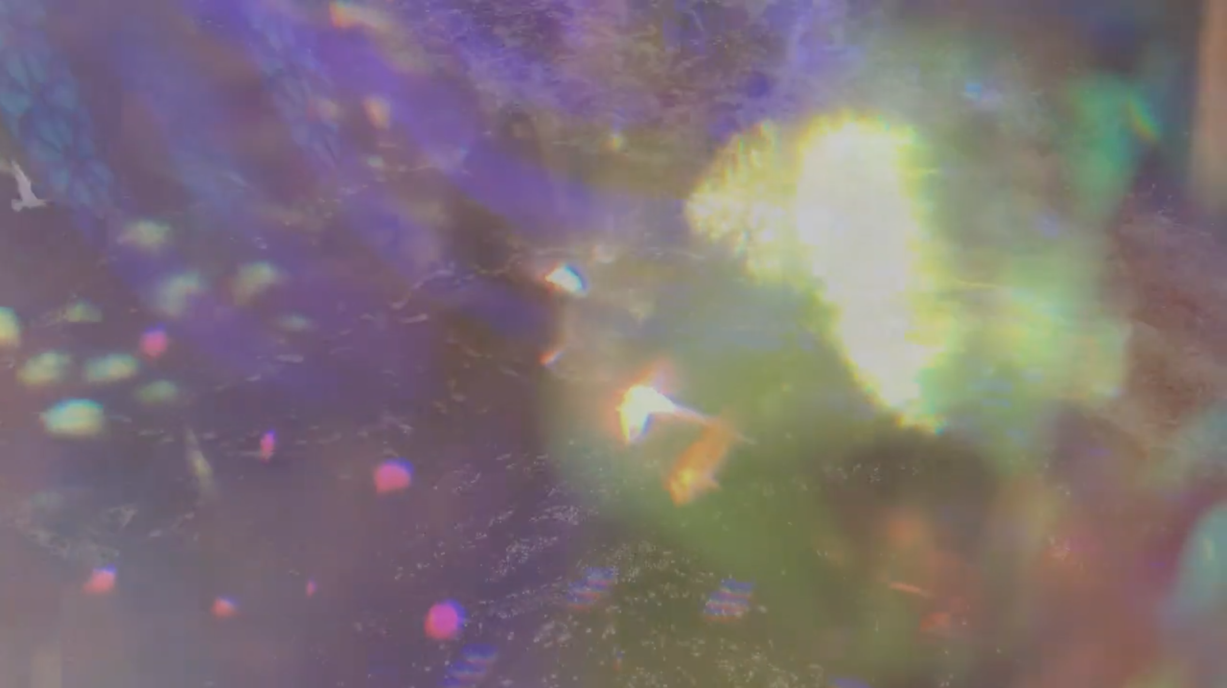 Screenshot 2026-04-04 at 6.47.53 PM.png