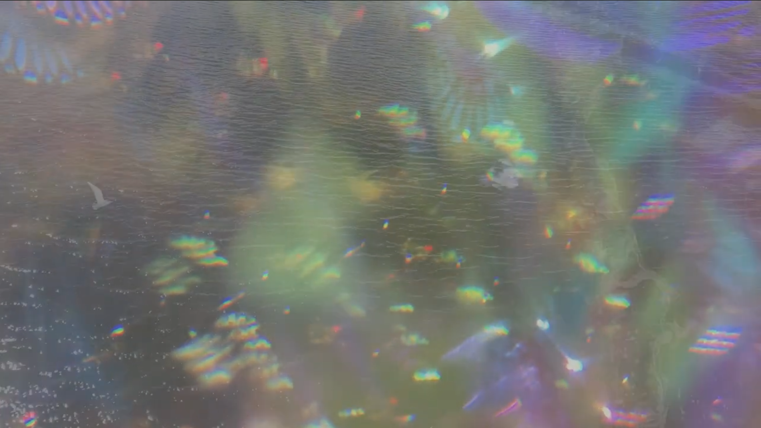 Screenshot 2026-04-04 at 6.48.47 PM.png