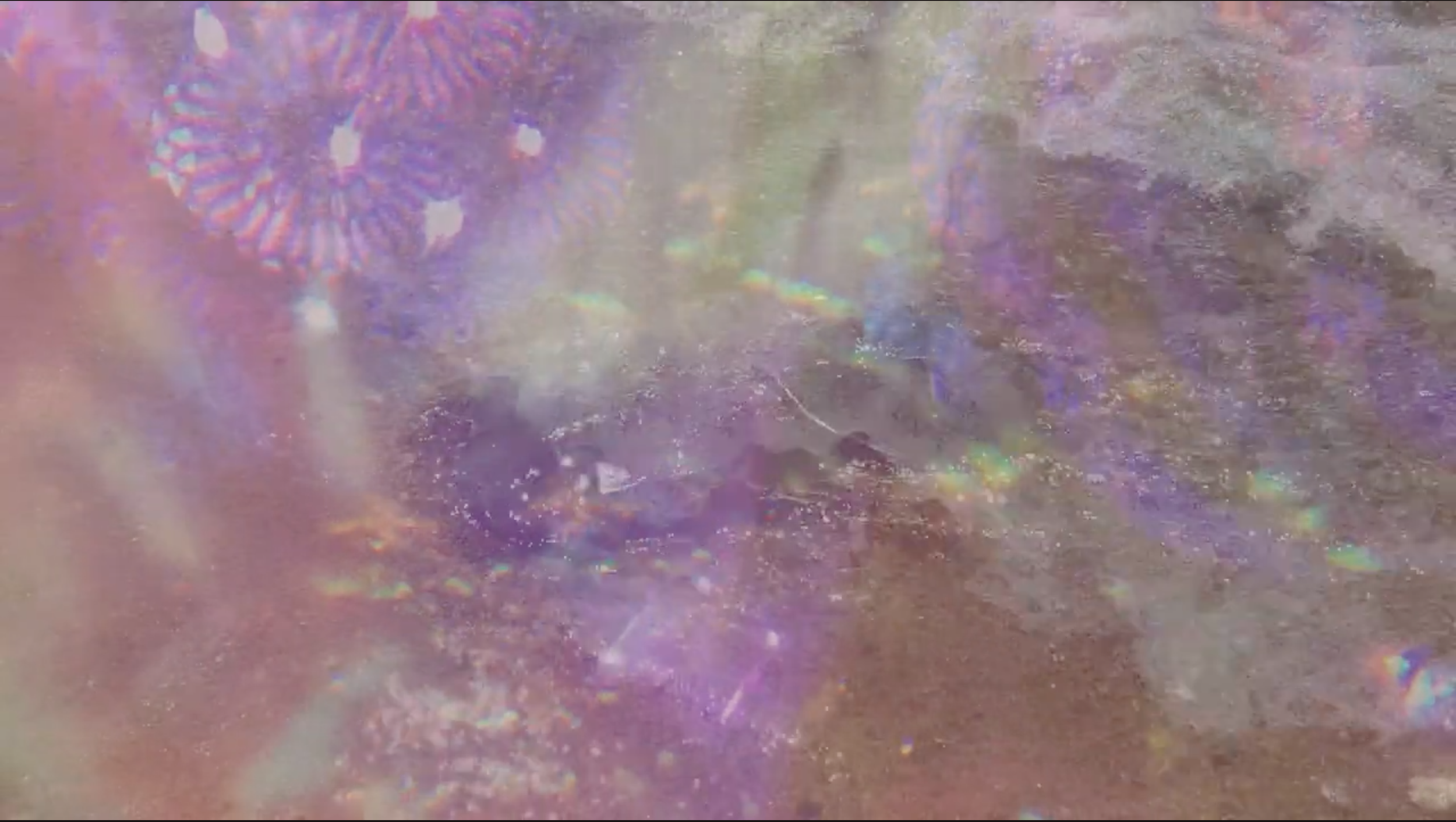 Screenshot 2026-04-04 at 6.50.41 PM.png