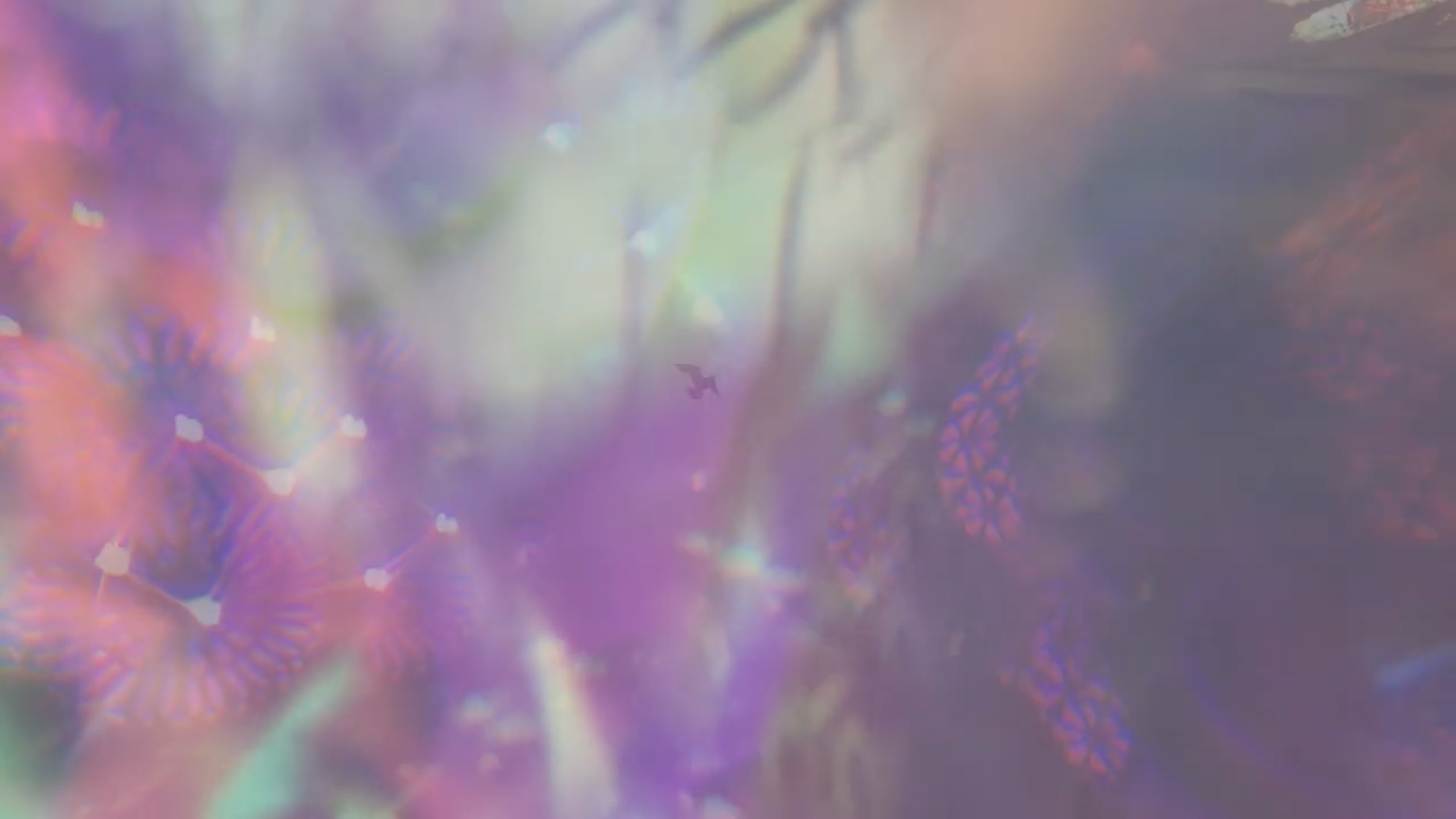 Screenshot 2026-04-04 at 6.50.55 PM.png