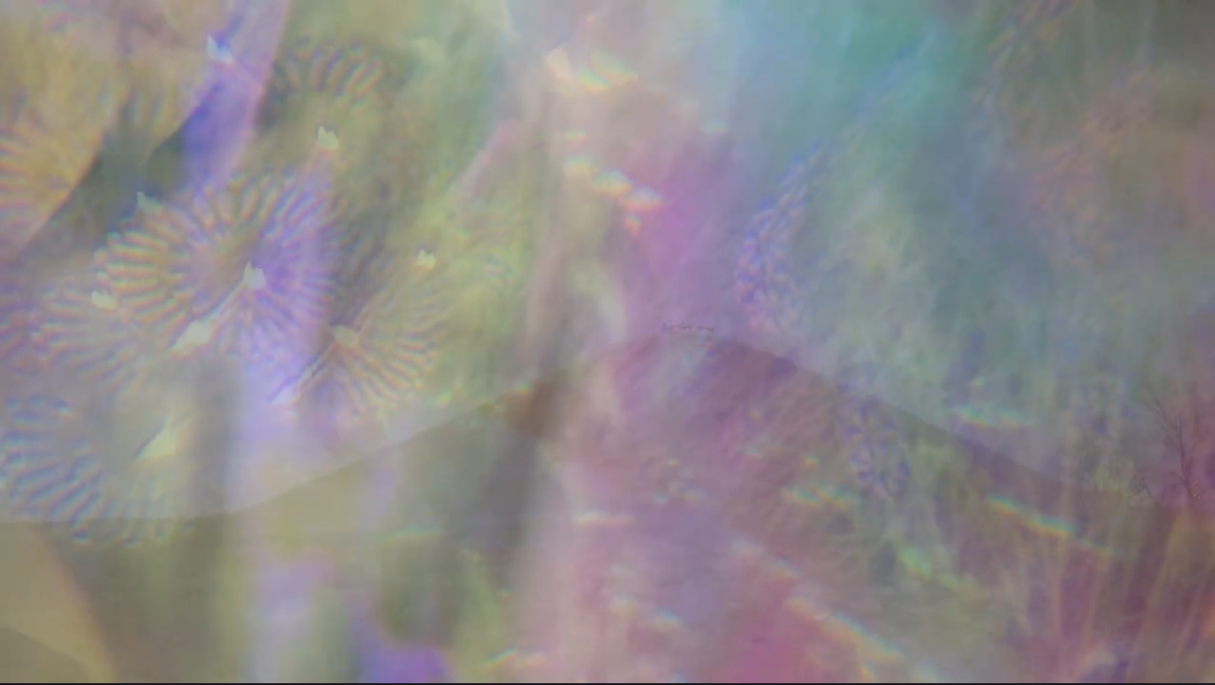 Screenshot 2026-04-04 at 6.51.52 PM.png