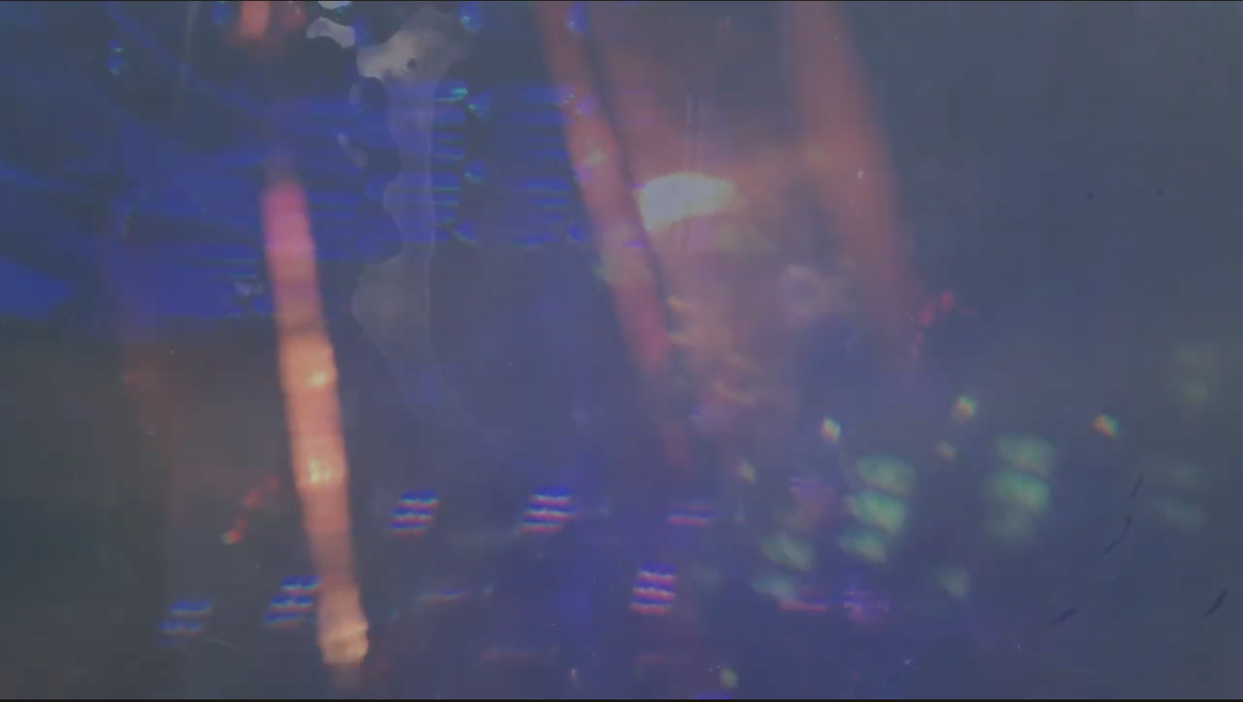 Screenshot 2026-04-04 at 6.52.39 PM.png