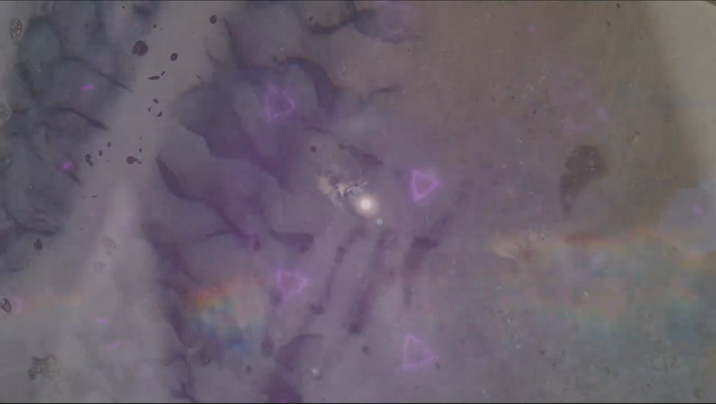 Screenshot 2026-04-04 at 6.53.55 PM.png