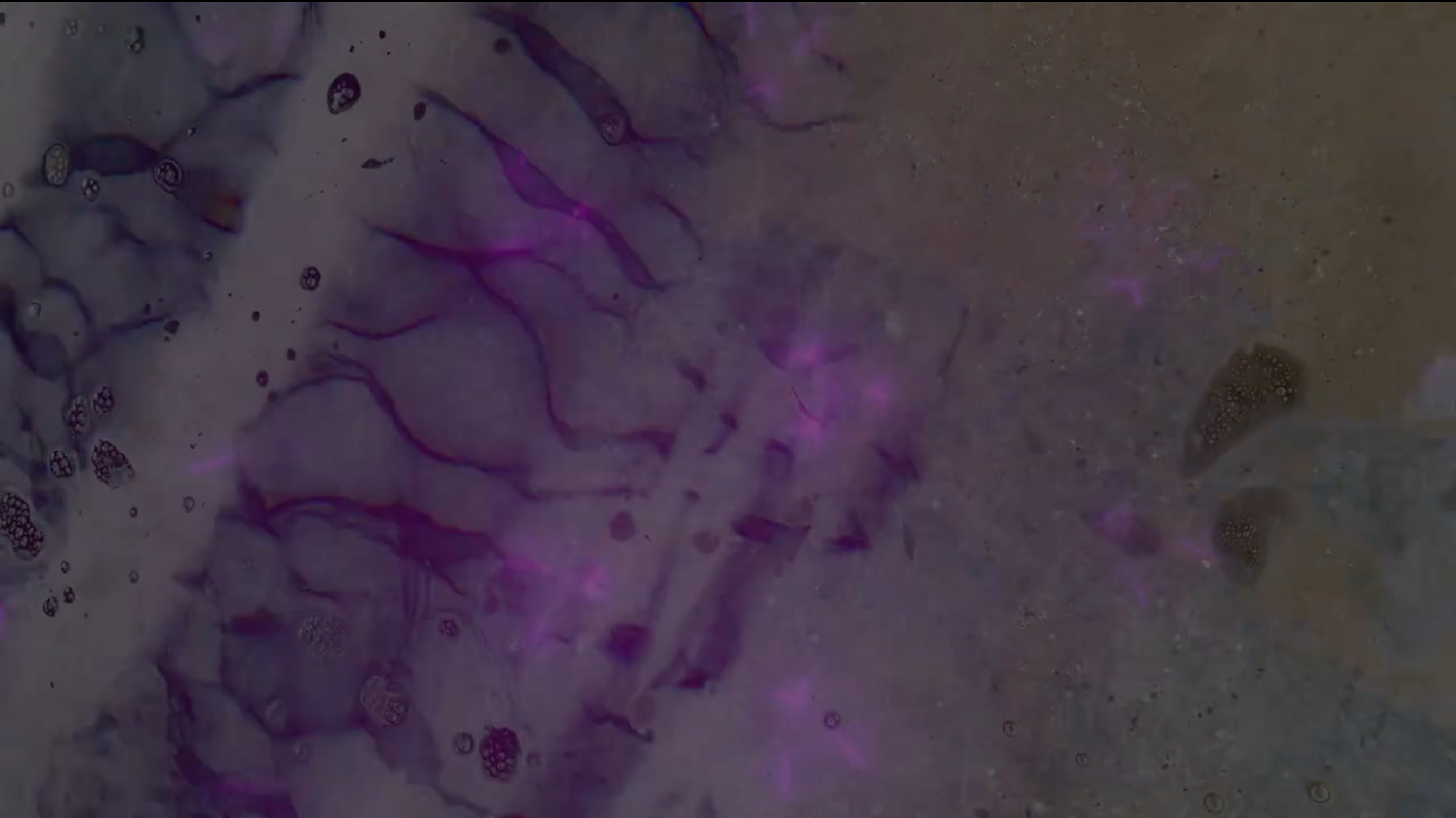 Screenshot 2026-04-04 at 6.53.46 PM.png