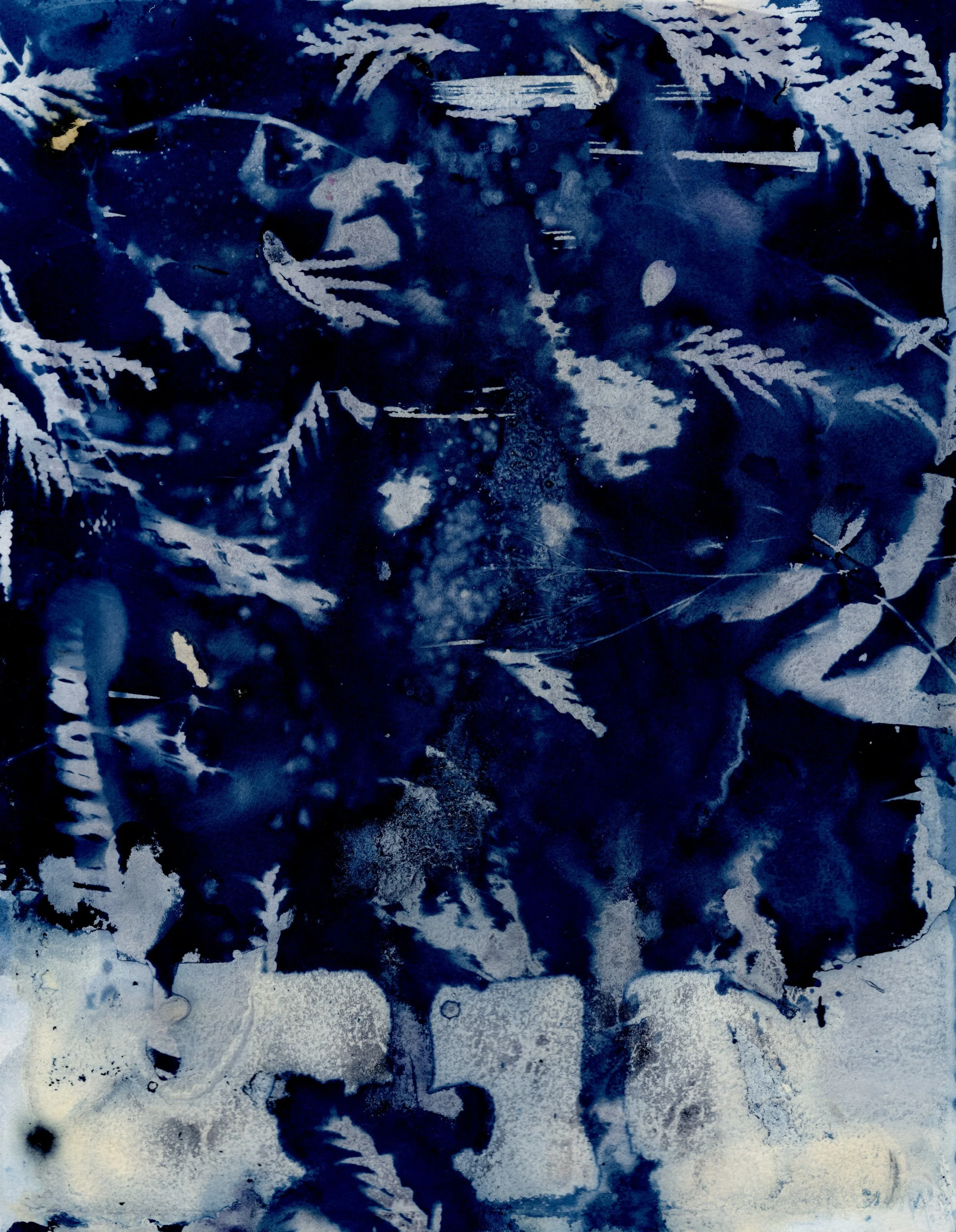 front3.jpg