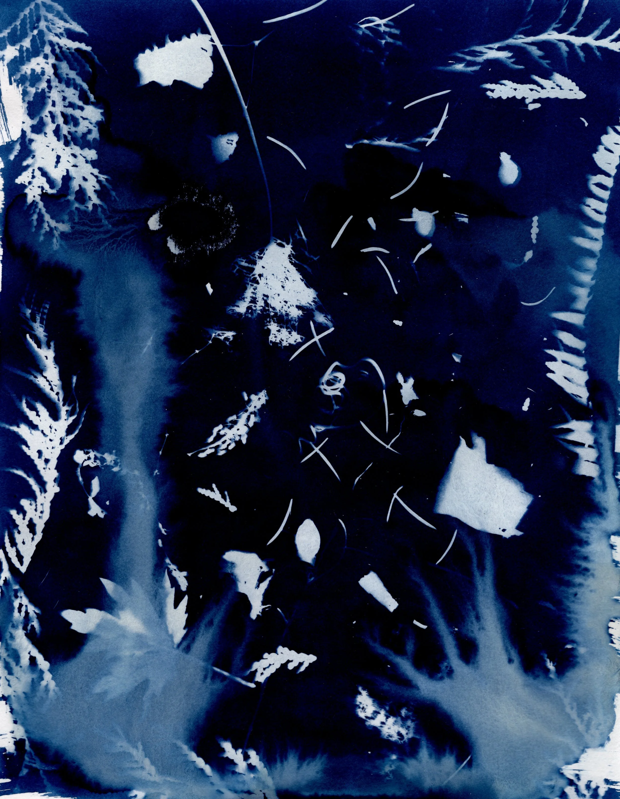 img20260520_12273896.jpg