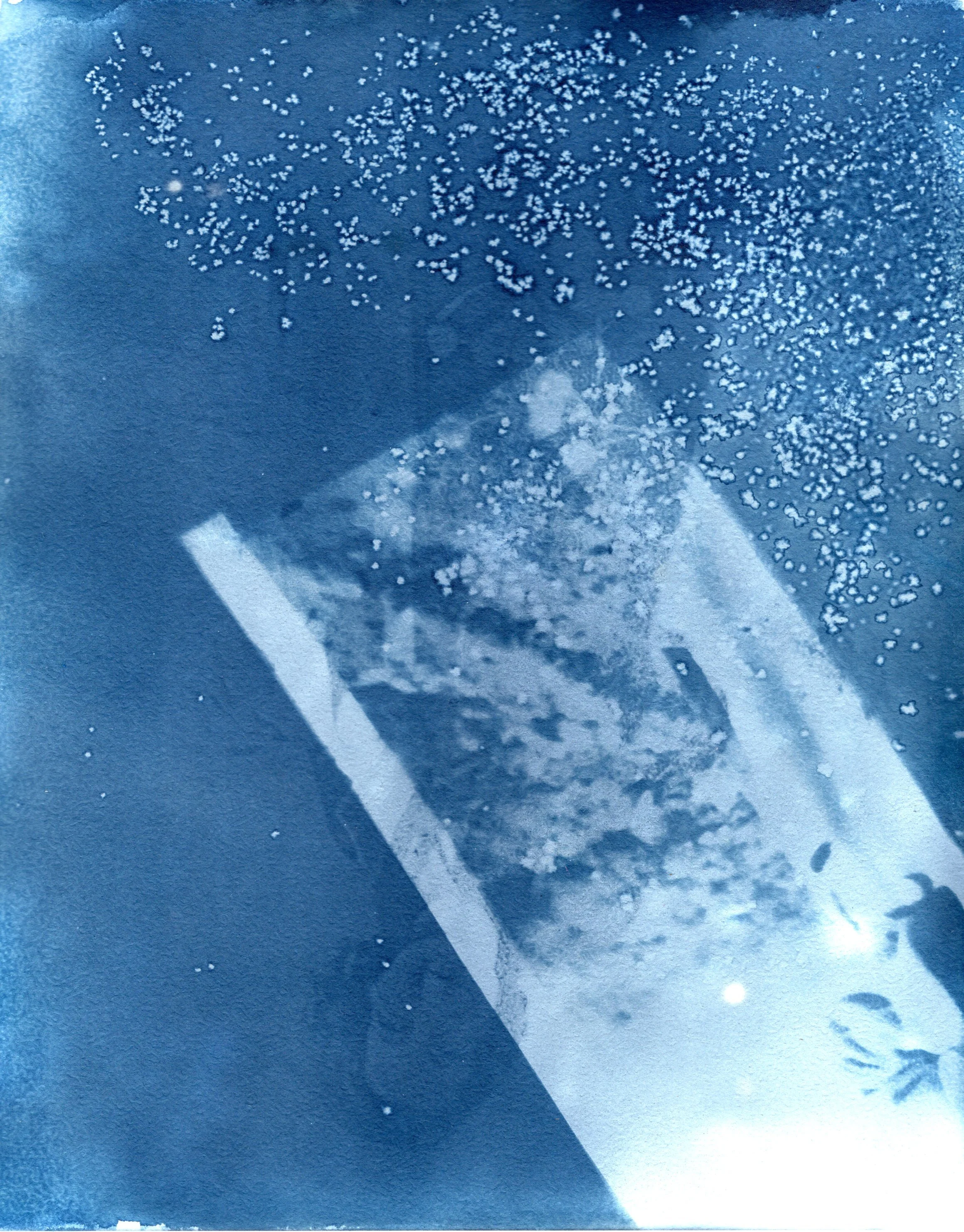 img20260715_15125252.jpg