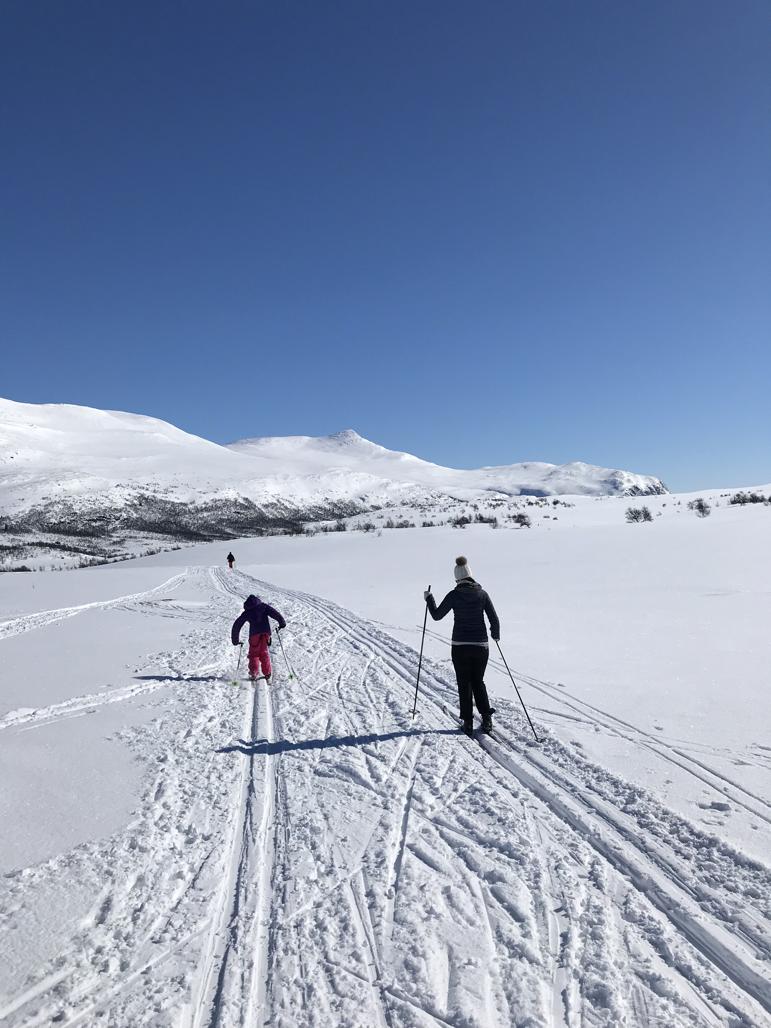 Over 50 fjelltopper høyere enn 1000moh