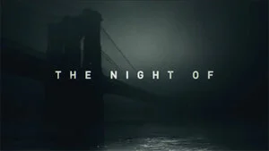The Night Of - The Truth Obscured 5/5