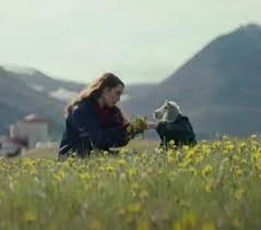 Lamb - Nature vs Nurture