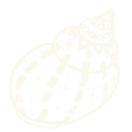faviconshell120px cream.png