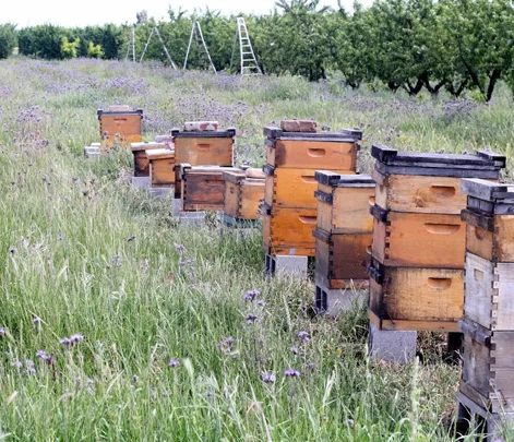 habitat.jpg