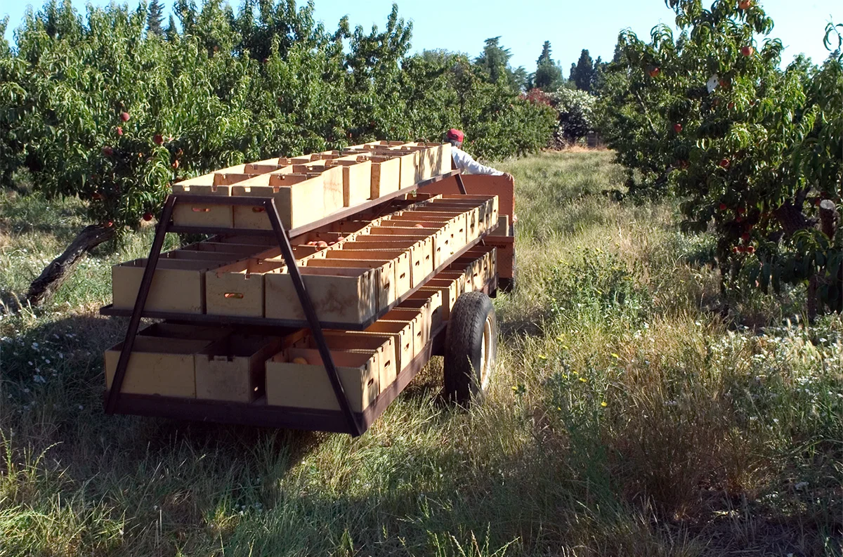 wagon-3.jpg