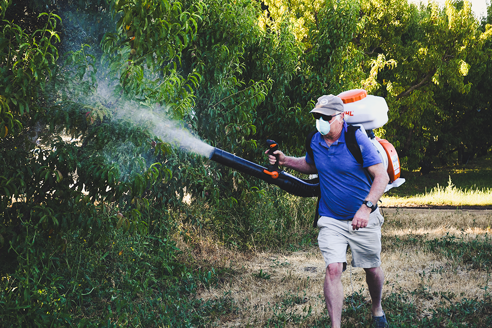 GREGG WITH MITES-LR_SPRAYING.png