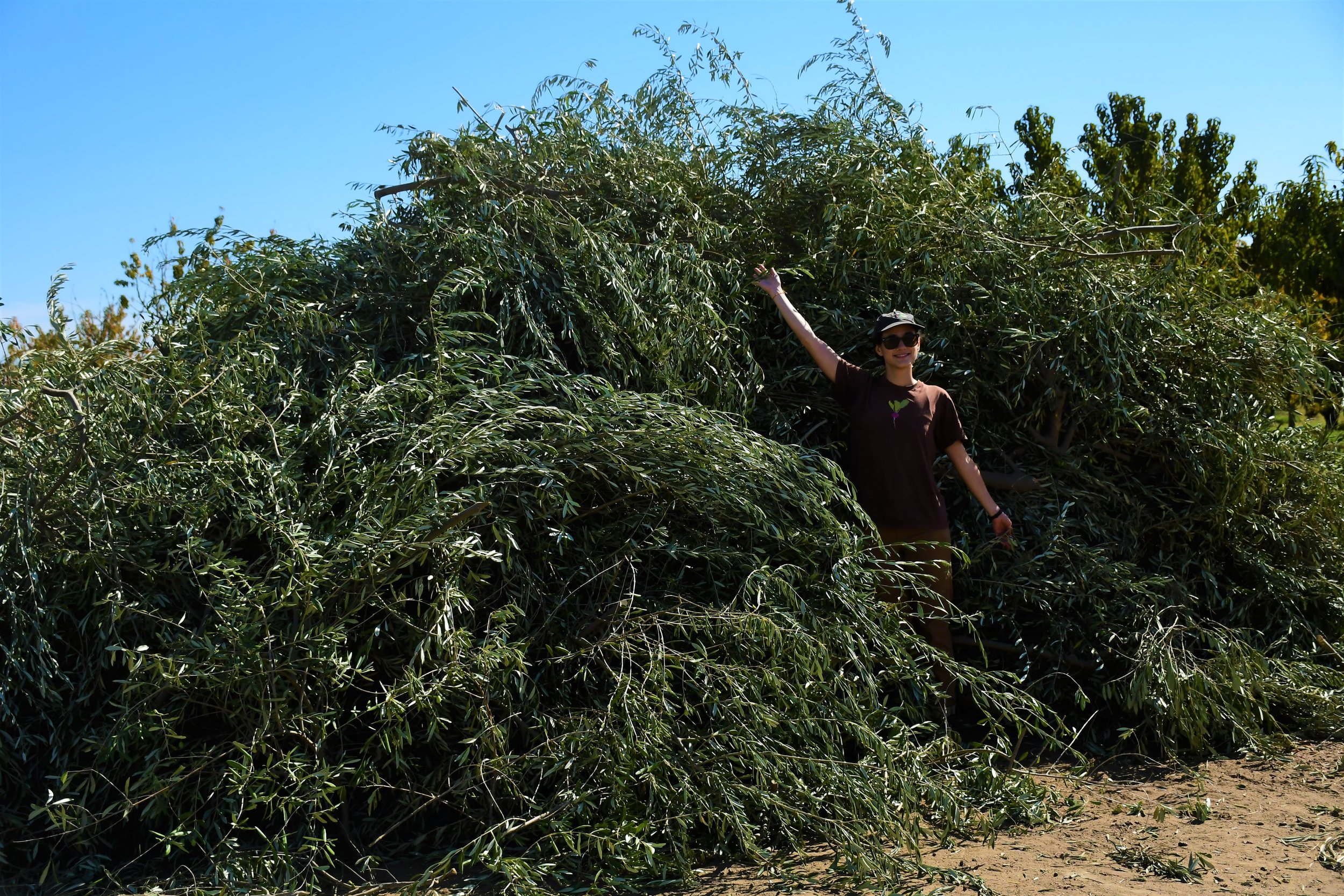 Rachel with branches.jpg