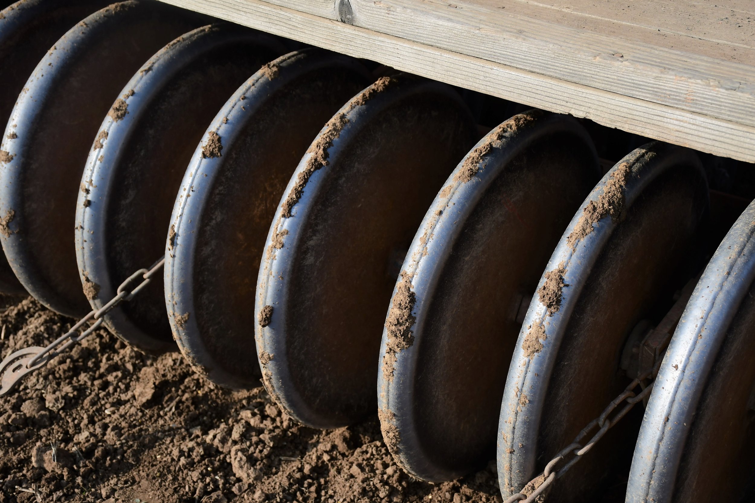 Sonora Wheat Planting 5 - Tractor.jpg