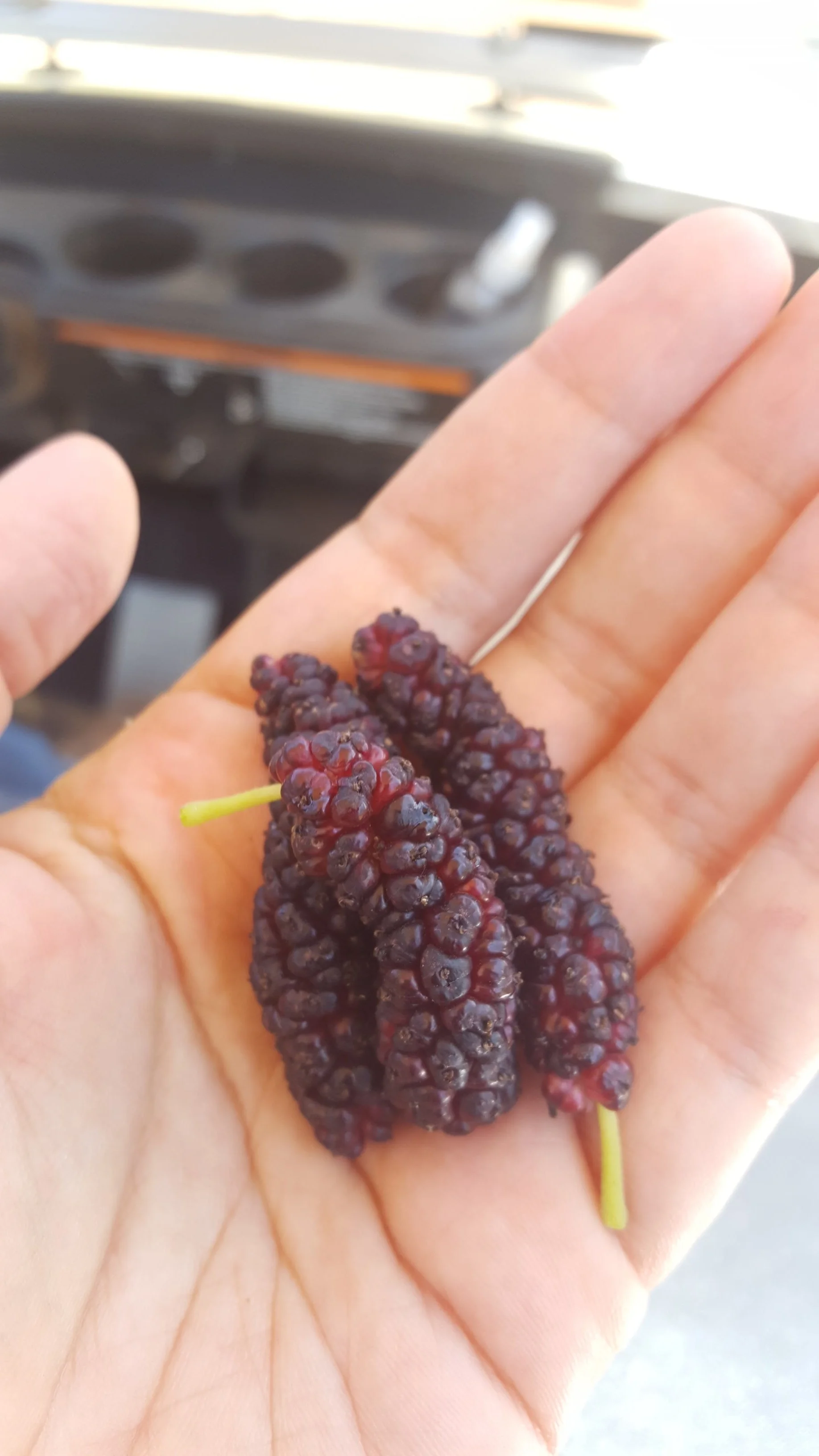 20180508_142213.jpg