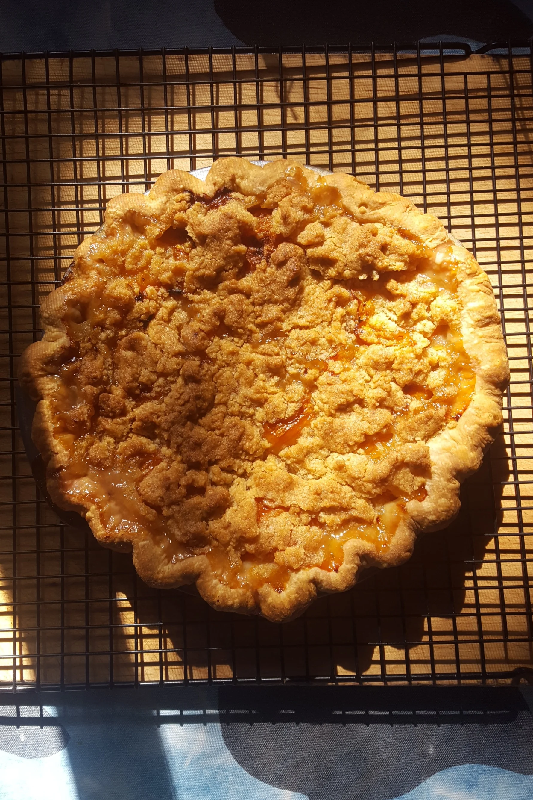 Frog Hollow CSA Apricot Pie