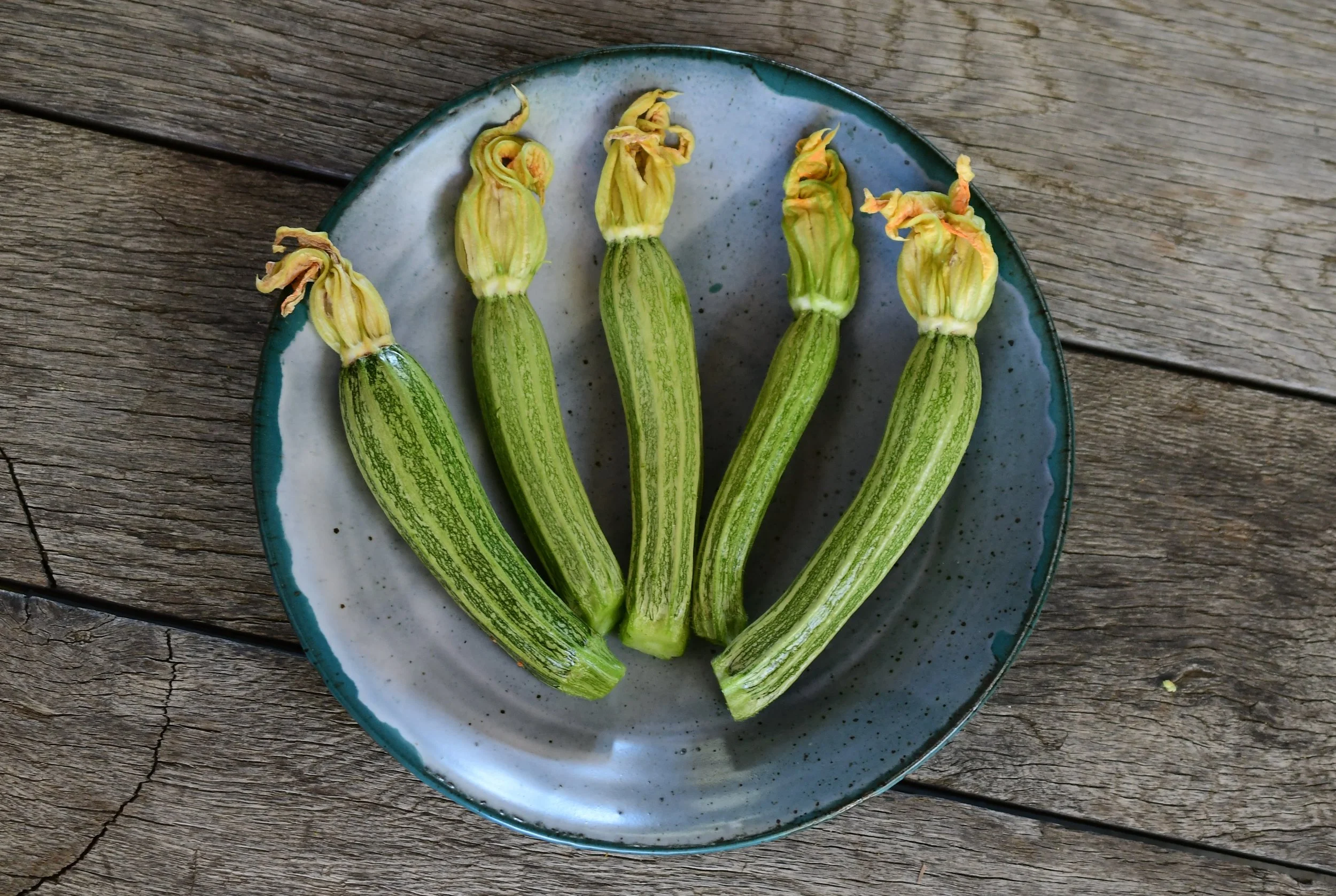 Pantheon Summer Squash.jpg