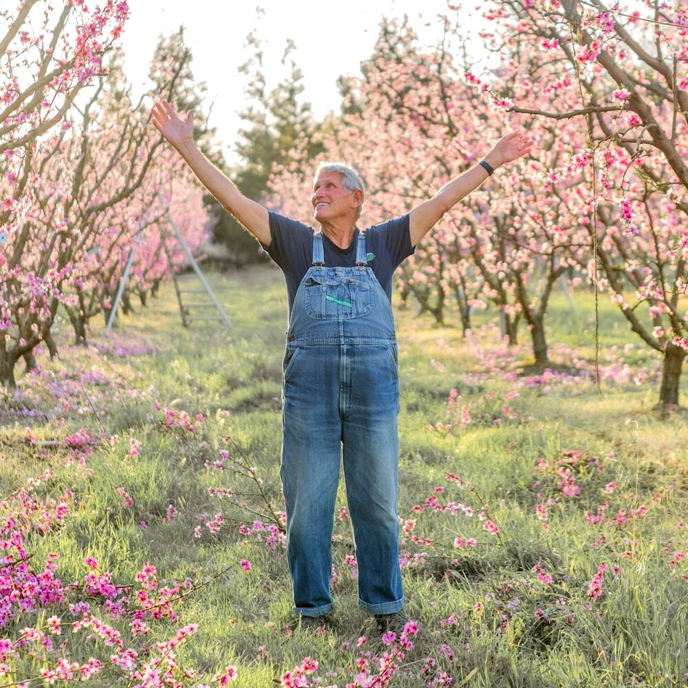 Organic Pears – Frog Hollow Farm