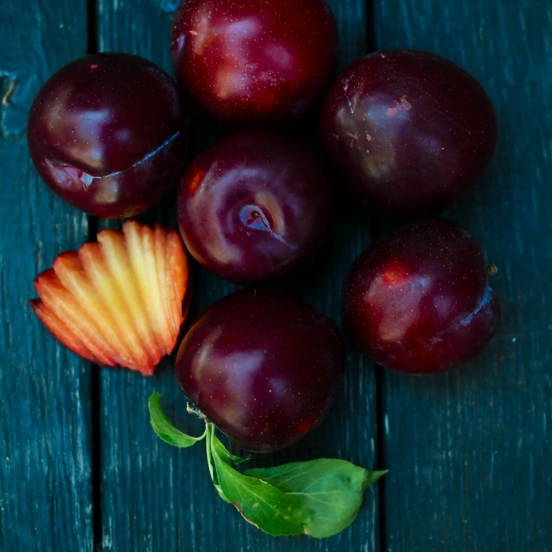 Frog Hollow Farm CSA Frog Hollow Farm CSA