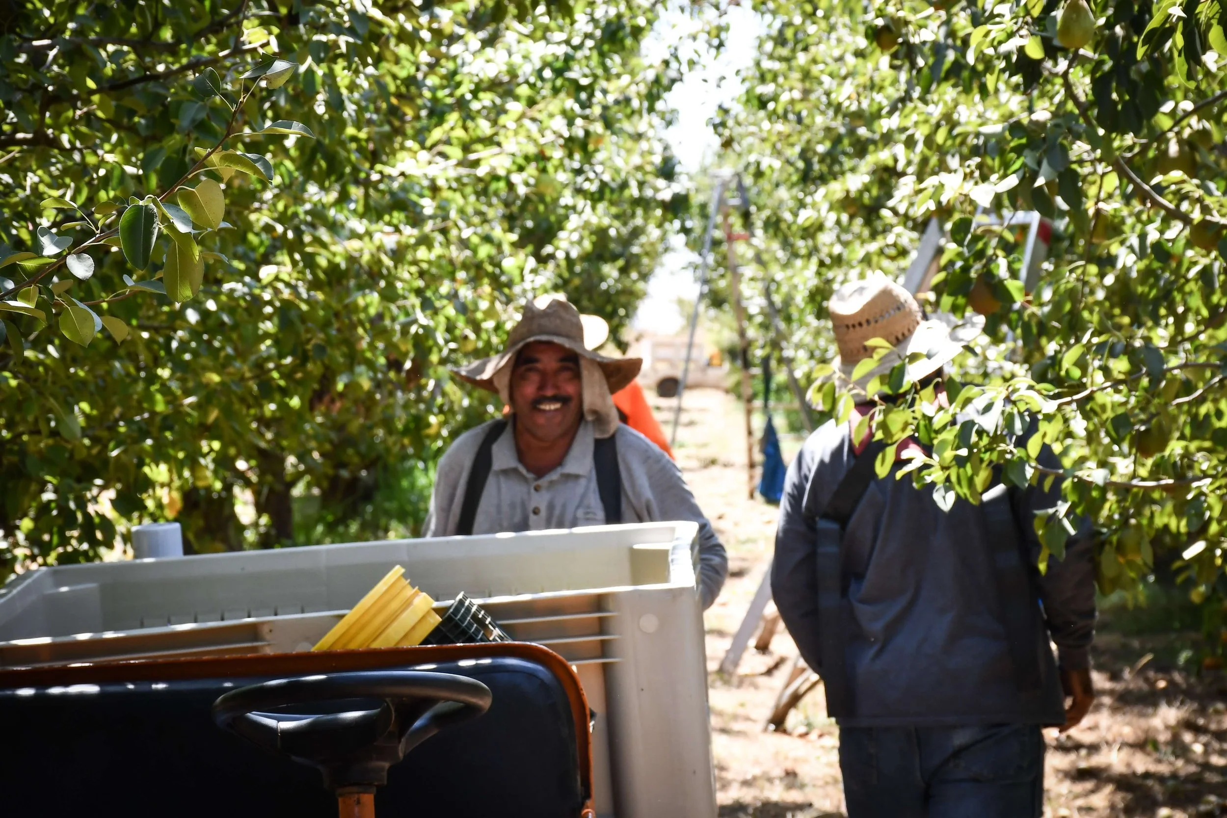 A Note from Sarah May 23rd, 2022 — Frog Hollow Farm CSA
