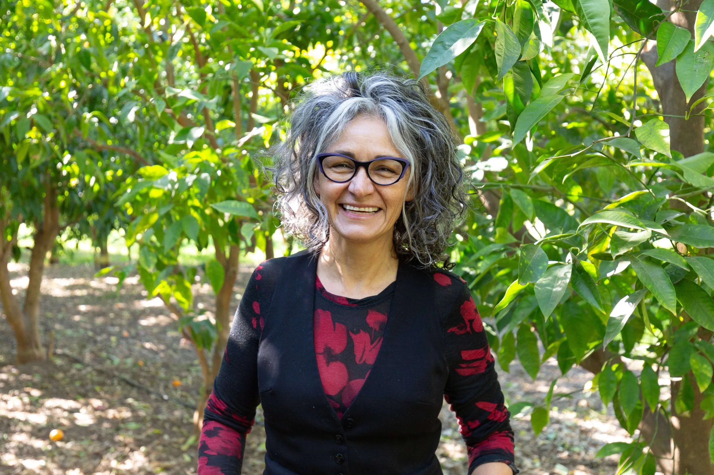 Farm Focus Cultivating Wellness — Frog Hollow Farm CSA