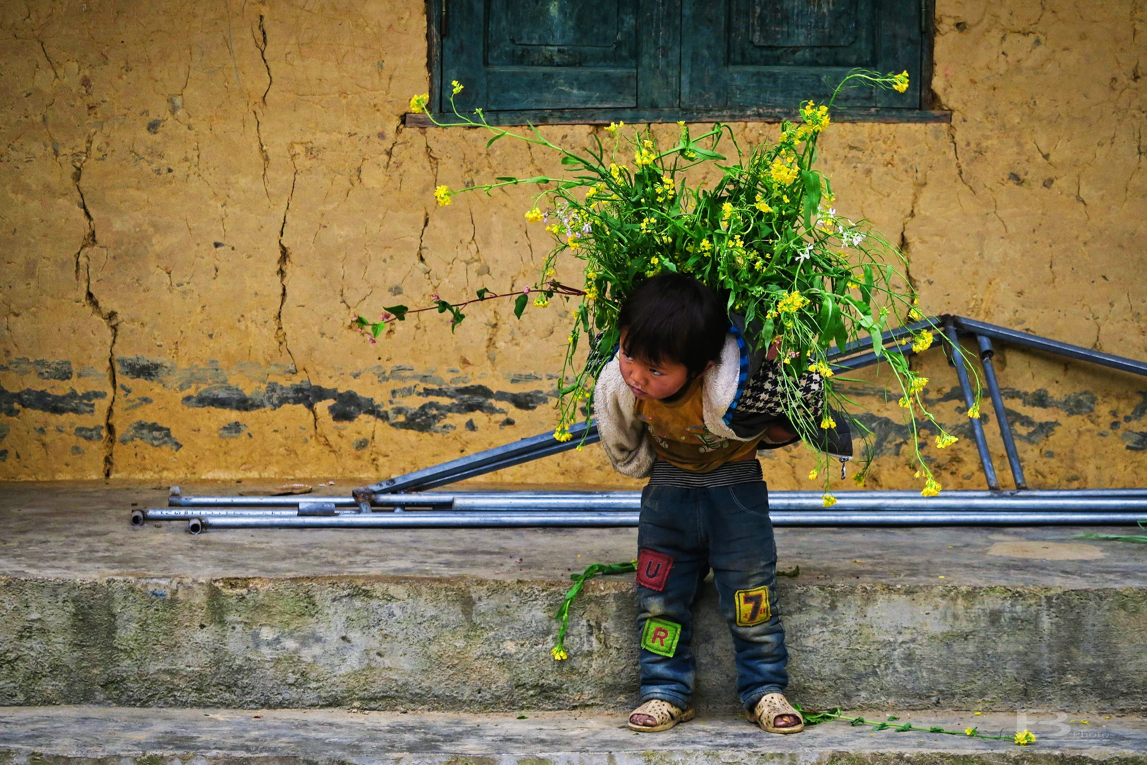 Vietnam_2017_B023_155.jpg