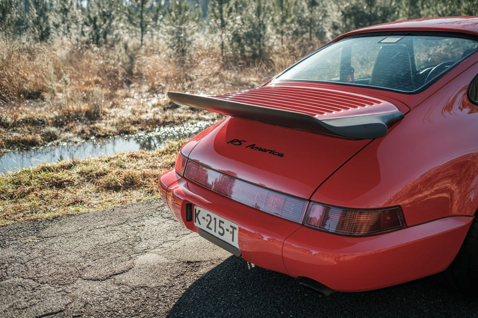 _XT31717.jpg