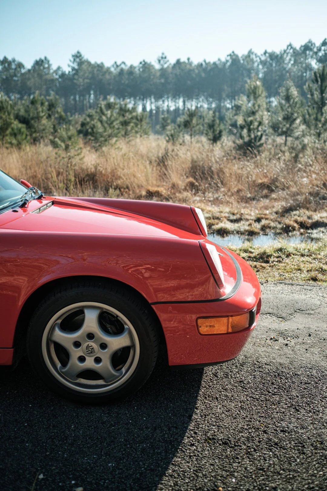 _XT31718.jpg