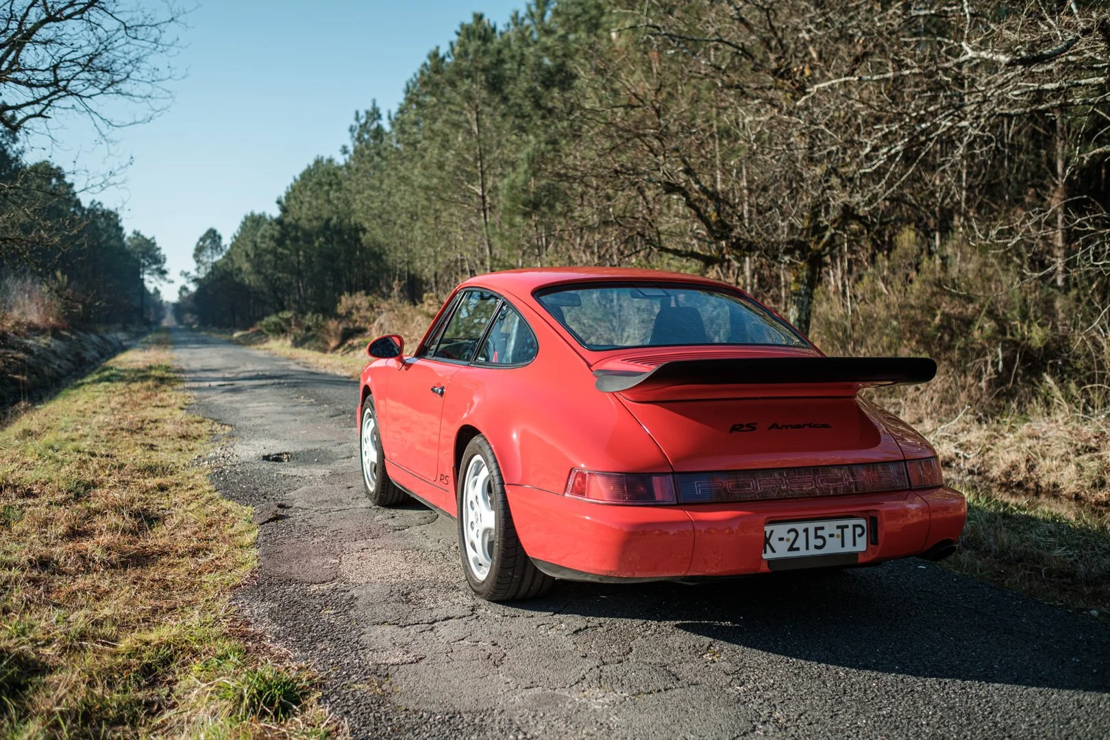 _XT31719.jpg