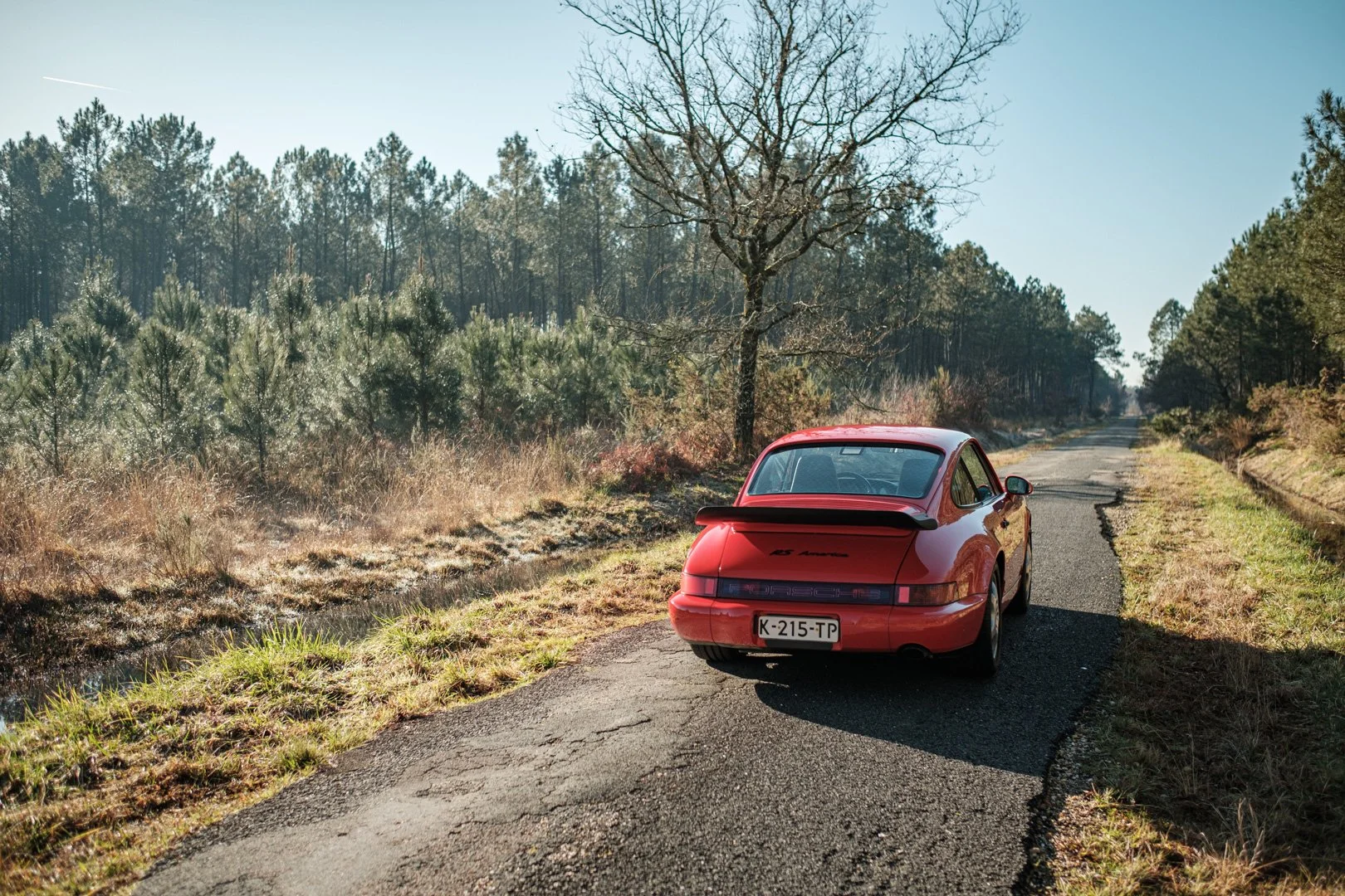 _XT31721.jpg