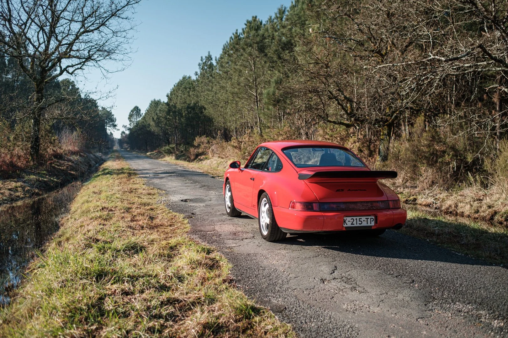 _XT31722.jpg