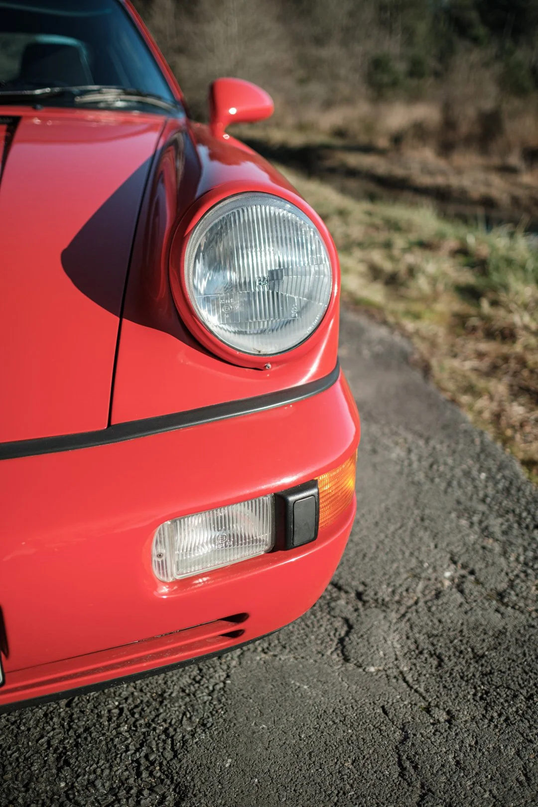 _XT31725.jpg
