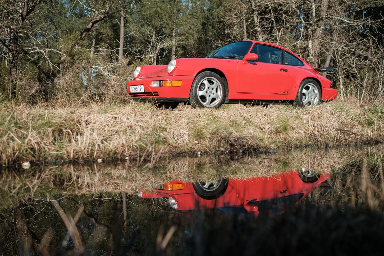 _XT31740.jpg